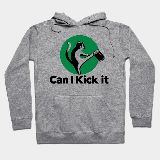 can i kick it - cats Hoodie by Rizstor